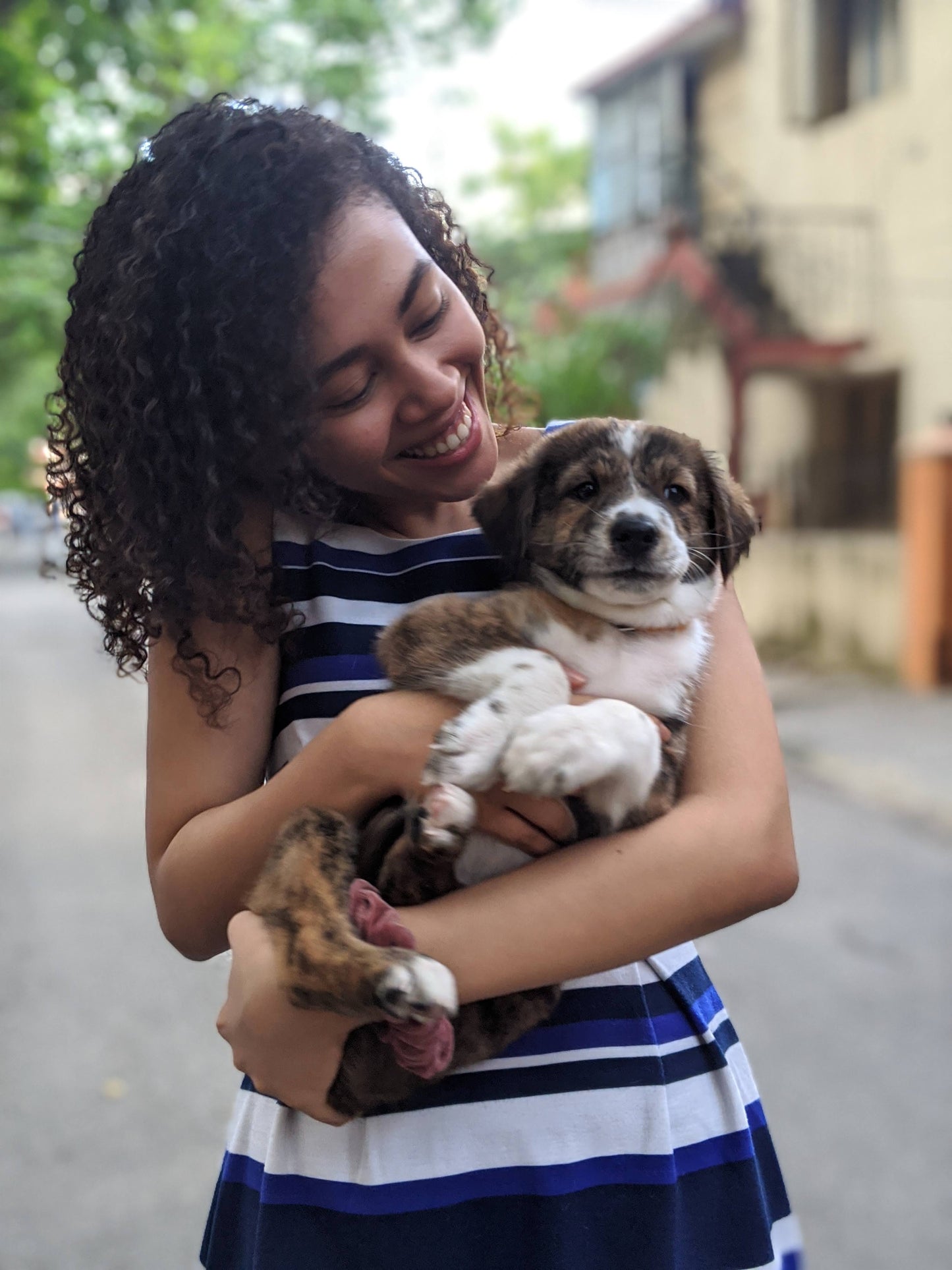 Your Story, Illustrated — Digital Edition