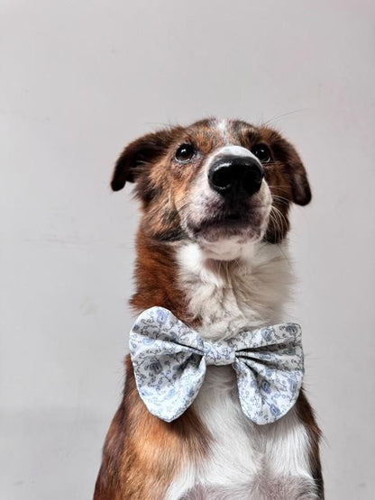 Your Story, Illustrated — Digital Edition