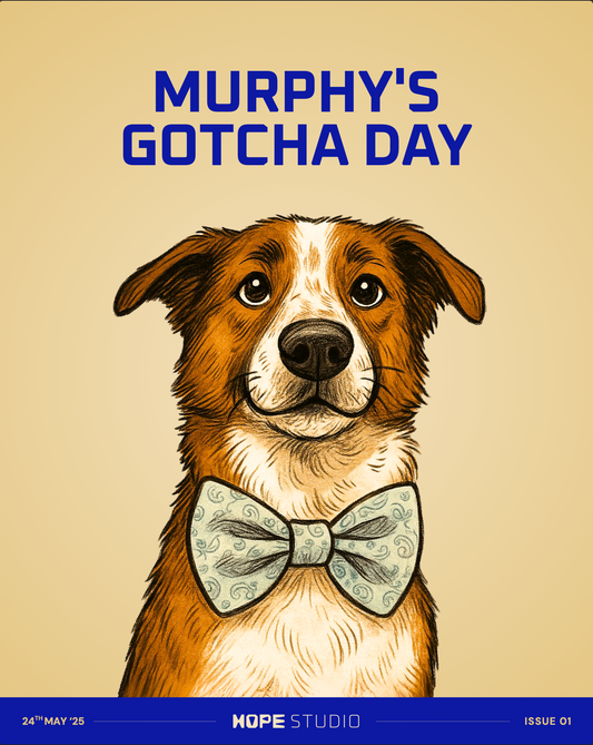 Your Story, Illustrated — Digital Edition